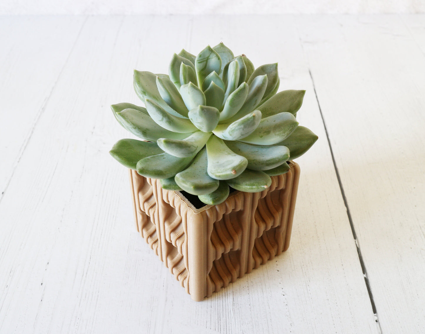 ESO-31 Planter