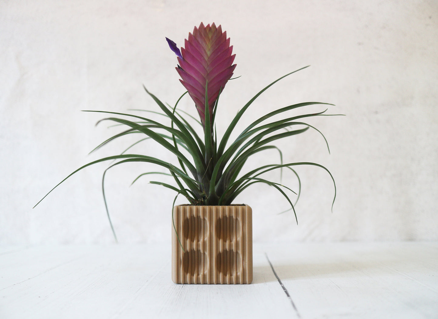 ESO-31 Planter